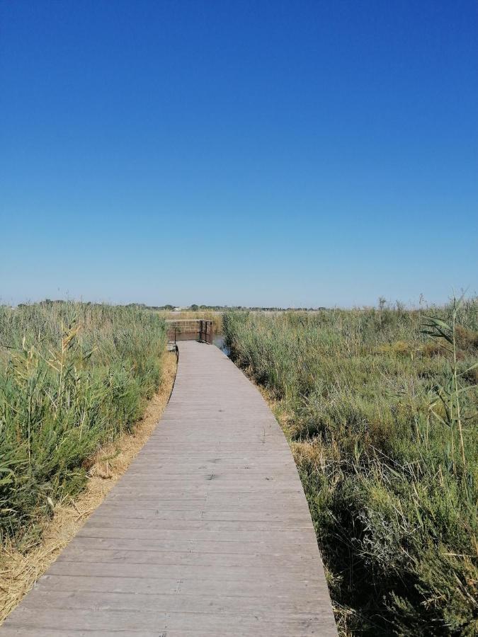 Marina A Aigues Mortes - Gard Экстерьер фото